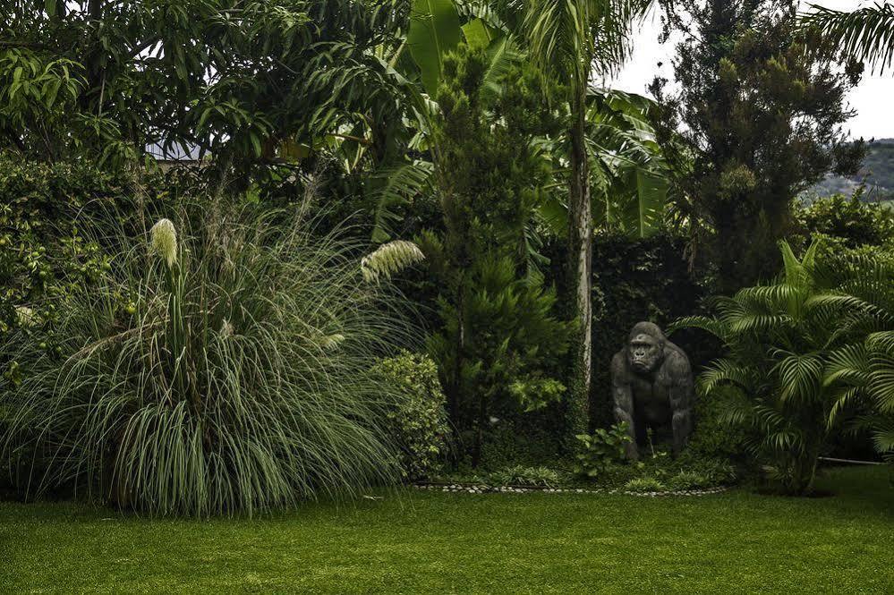 Casa Domingo Hotel Petit Miacatlán Buitenkant foto